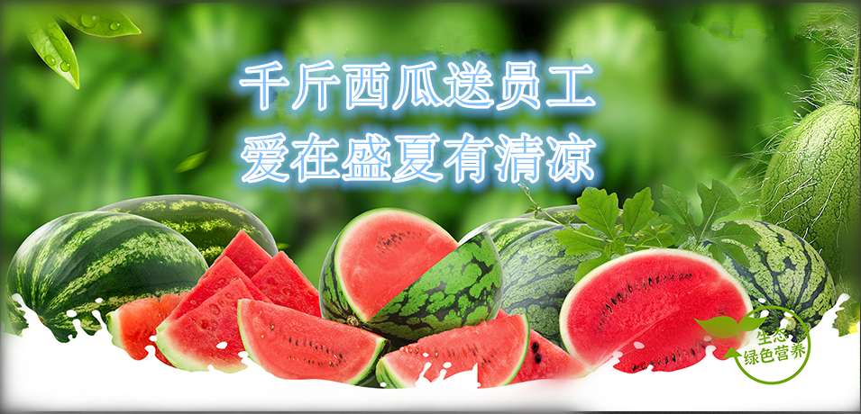 通達軟件公司： 千斤西瓜送員工，愛在盛夏有清涼